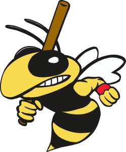 Wasp PNG-74583